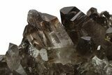 Dark Smoky Quartz Crystal Cluster - Brazil #272994-1